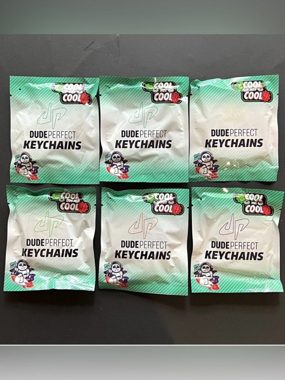 6 Dude Perfect Keychain Blind Bag Bundle Cool Not Cool Mystery Bag SEALED Panda